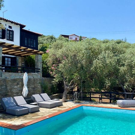 Villa Valia: Traditional Luxurious Residence 皮加迪卡 外观 照片