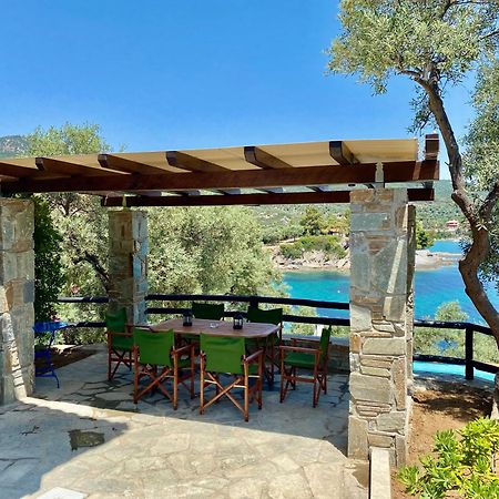 Villa Valia: Traditional Luxurious Residence 皮加迪卡 外观 照片