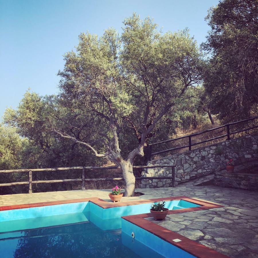 Villa Valia: Traditional Luxurious Residence 皮加迪卡 外观 照片