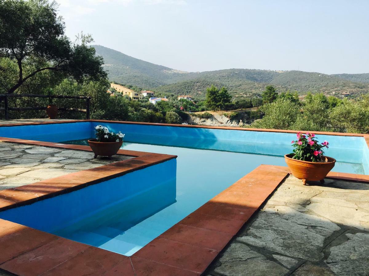 Villa Valia: Traditional Luxurious Residence 皮加迪卡 外观 照片