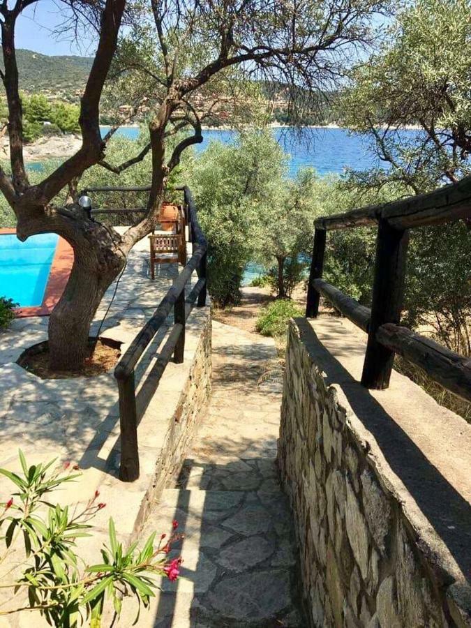 Villa Valia: Traditional Luxurious Residence 皮加迪卡 外观 照片